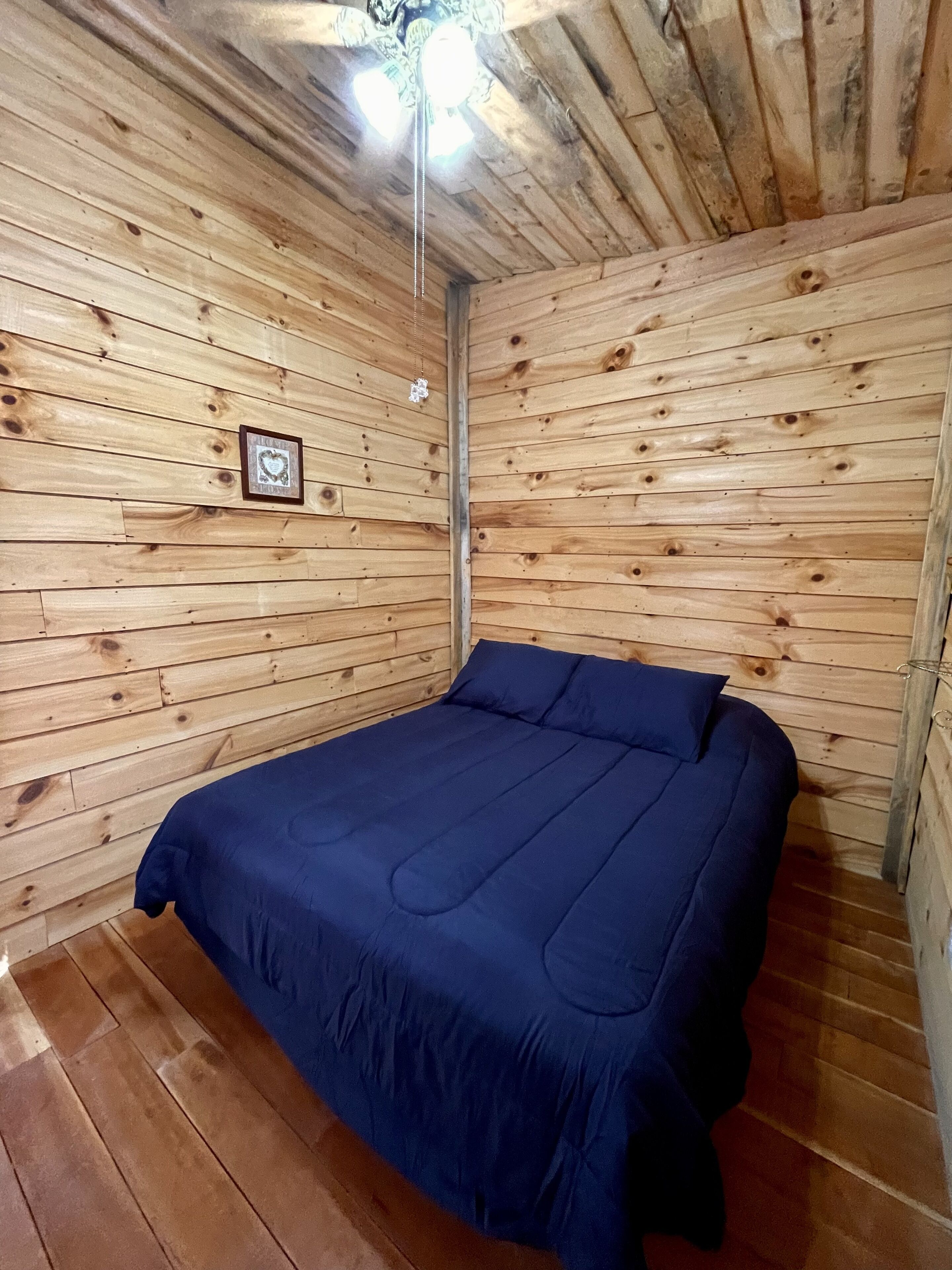 Rudy’s roost Rental Cabin - near Back of the Dragon Route 16