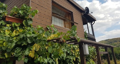 Ruhiger Bungalow mit überdachter Terrasse