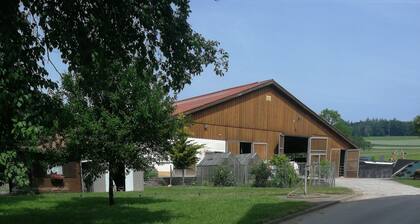 Large vacation apartment with a view of the courtyard