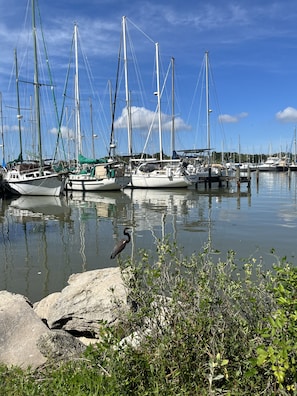 A marina with multiple sailboats docked.