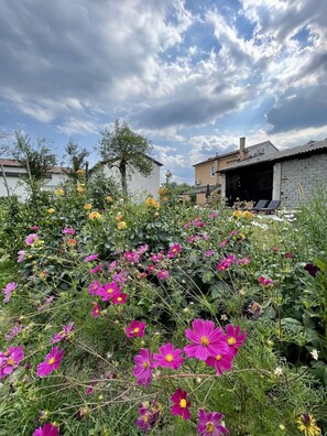 A garden with vibrant flowers and a rustic building in the background. - BELAKAPA authentic house with free parking and garden (Ilirska Bistrica)