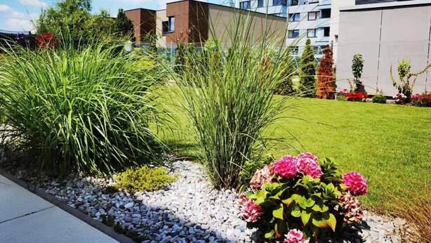 En modern bostadsbyggnad med en välskött gräsmatta och trädgård.