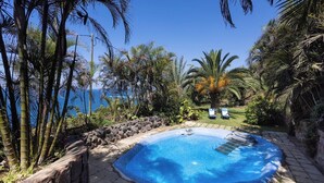 A swimming pool surrounded by tropical plants and a stone wall, with a view of the ocean. - Home2Book Atlantic View Rustic Villa (Los Realejos)