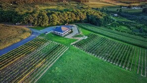 An aerial view of a vineyard with rows of grapevines, a building with a blue roof, and a parking area. - Poconos Hideaway Hot Tub, Zen Garden & Fire Pit, hiking and water parks nearby. (Albrightsville)