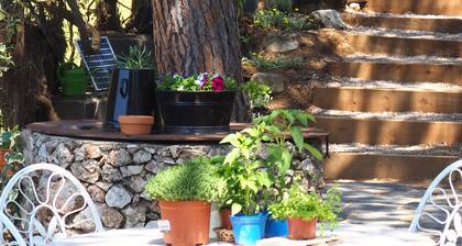 20 minutes from Barcelona on the coast