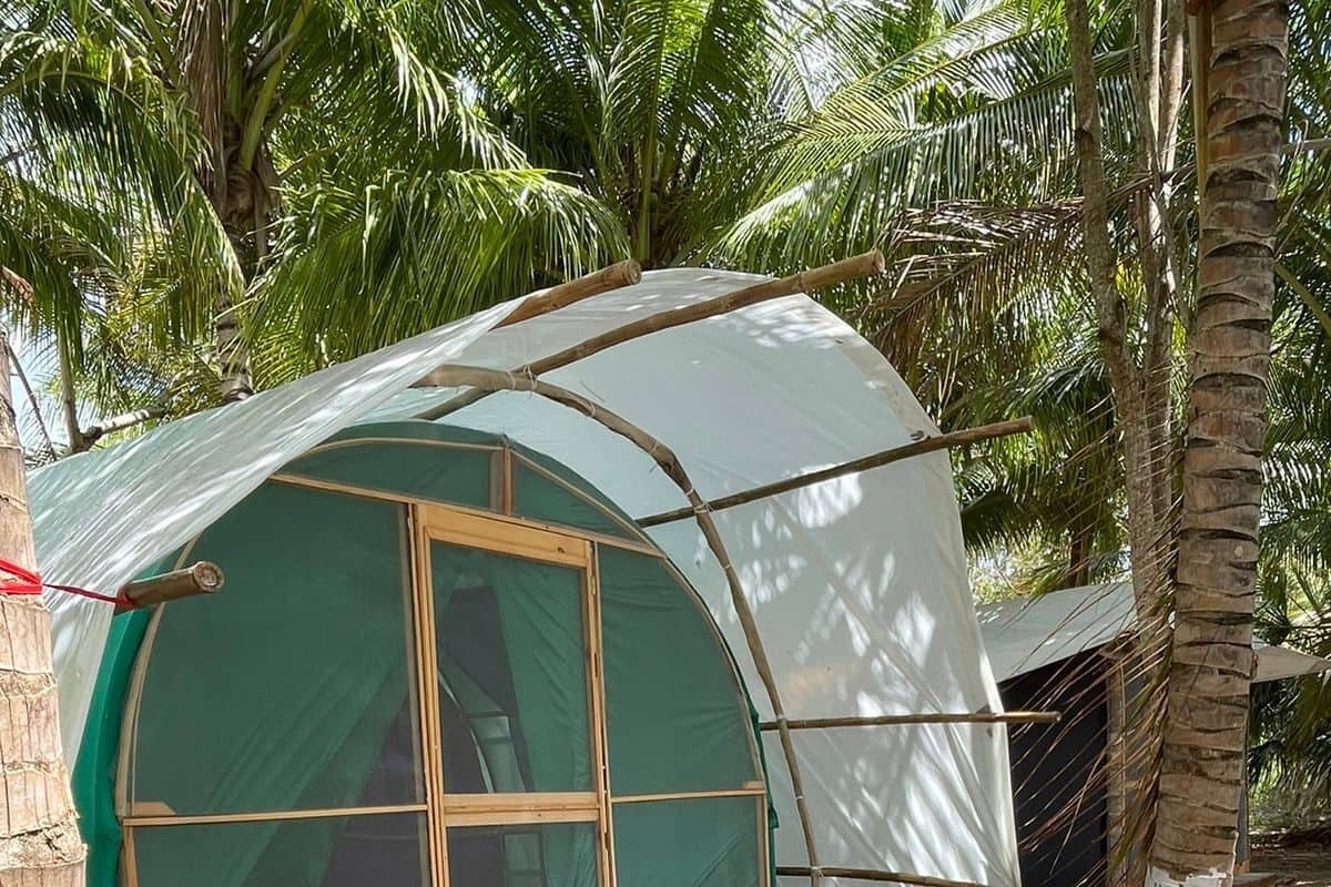 Basic Tent | Bed sheets