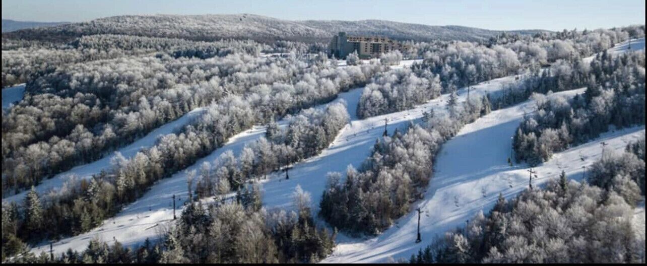 2216 Ski In/ Ski Out - Slope Side Condo