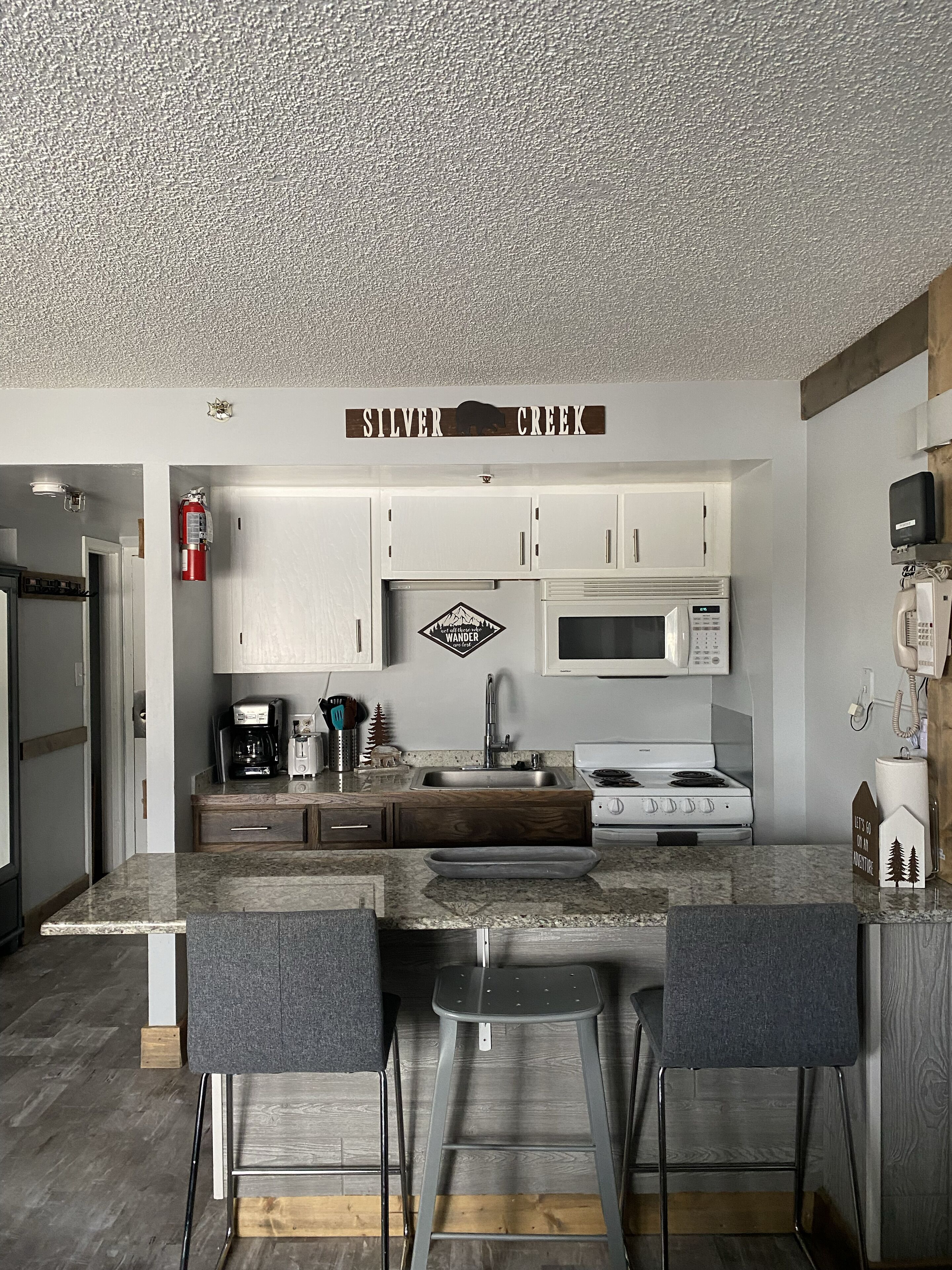 2216 Ski In/ Ski Out - Slope Side Condo