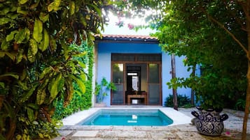 Un área de piscina con un edificio azul, rodeado de abundante vegetación.