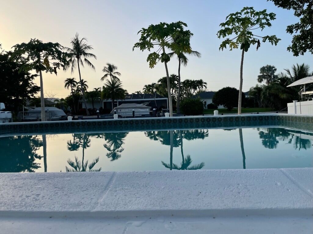 室外泳池、暖水池