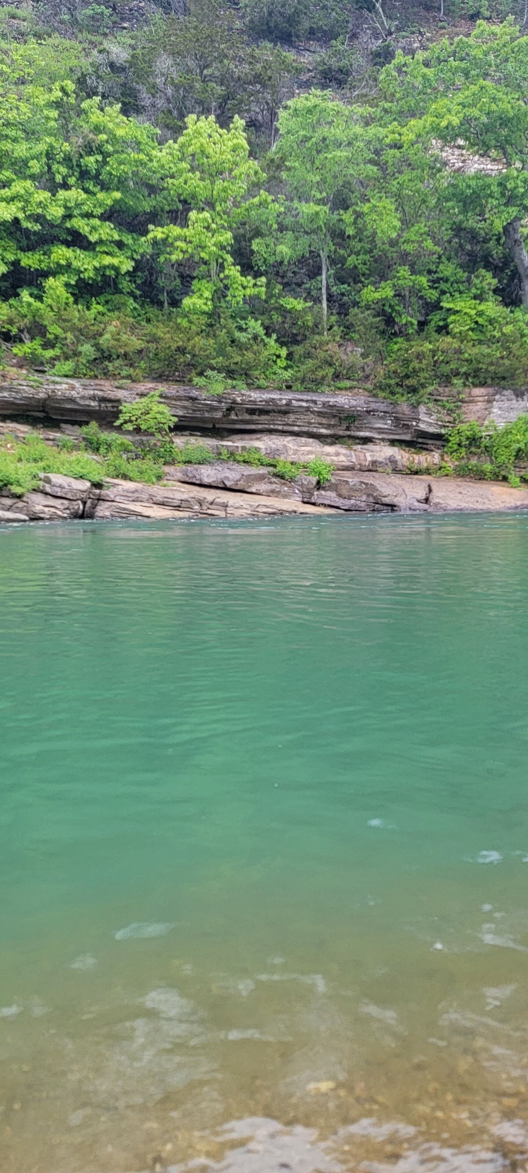 Buffalo River 4.4 Miles From Nature's Loft
