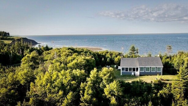 Una casa rodeada de bosque frondoso con vista al océano.