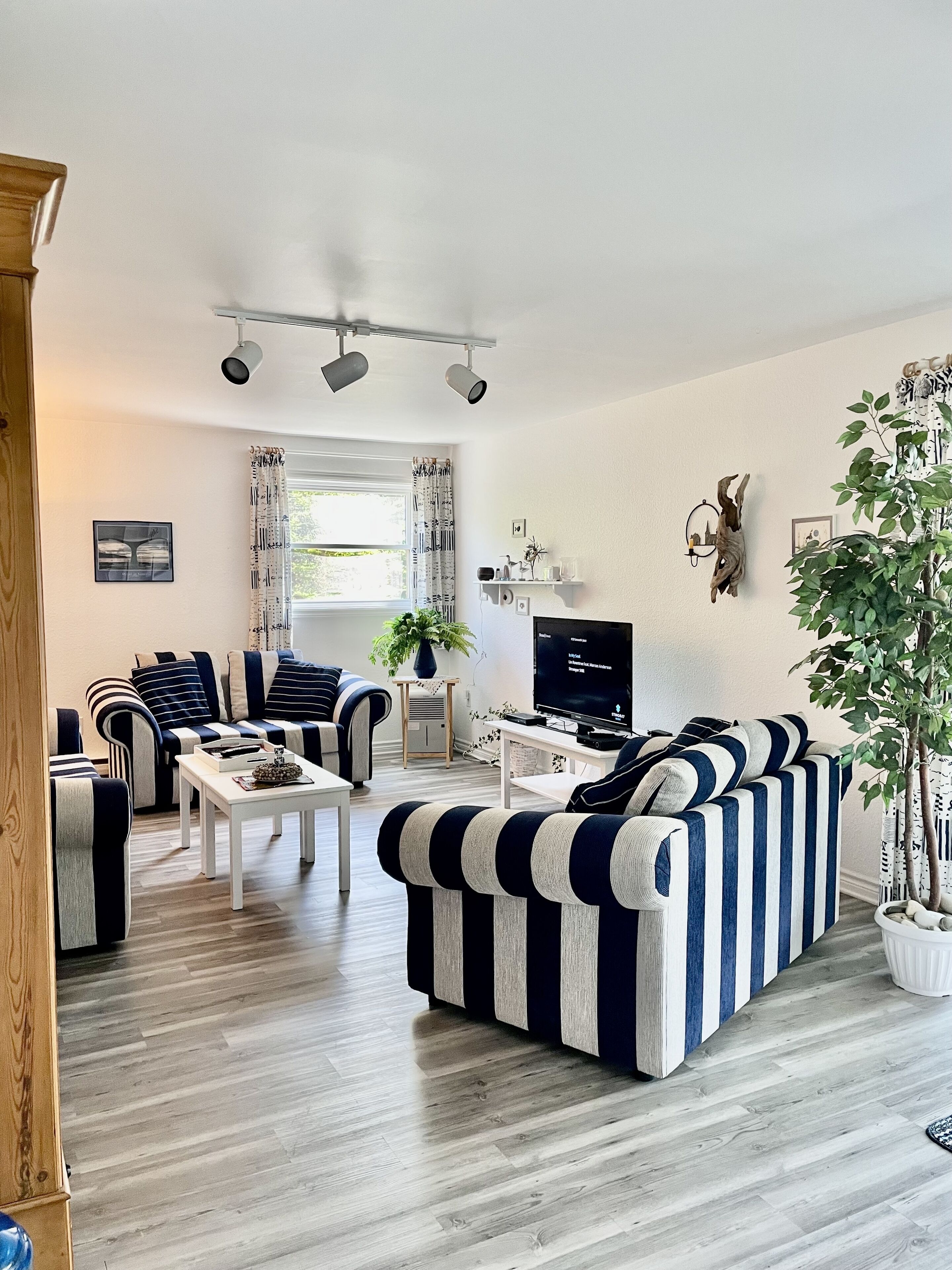 Téléviseur connecté, livres