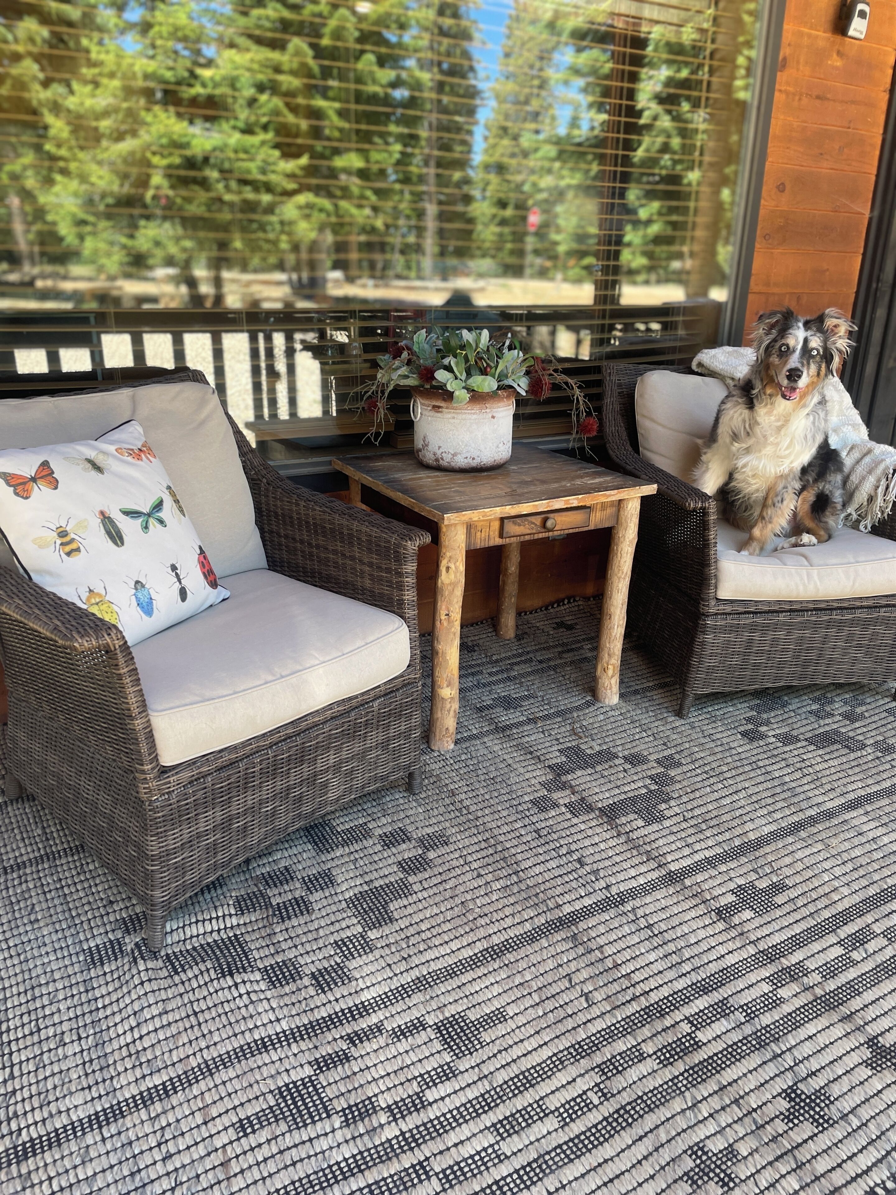 A wicker sofa with a cushion, a small wooden table with a potted plant, and a dog sitting on a cushioned chair.