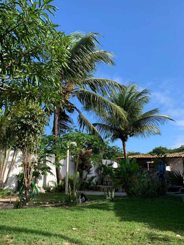 Área da propriedade