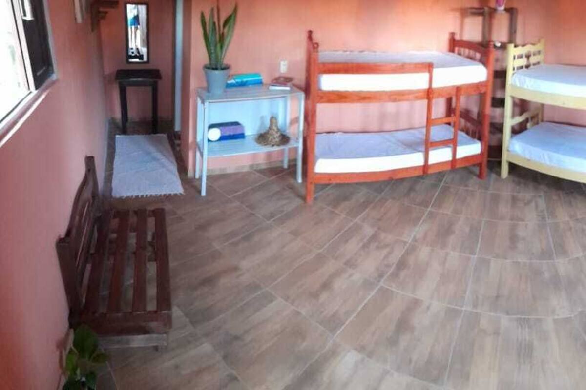 A room with two bunk beds, a small table with a plant, and a window.