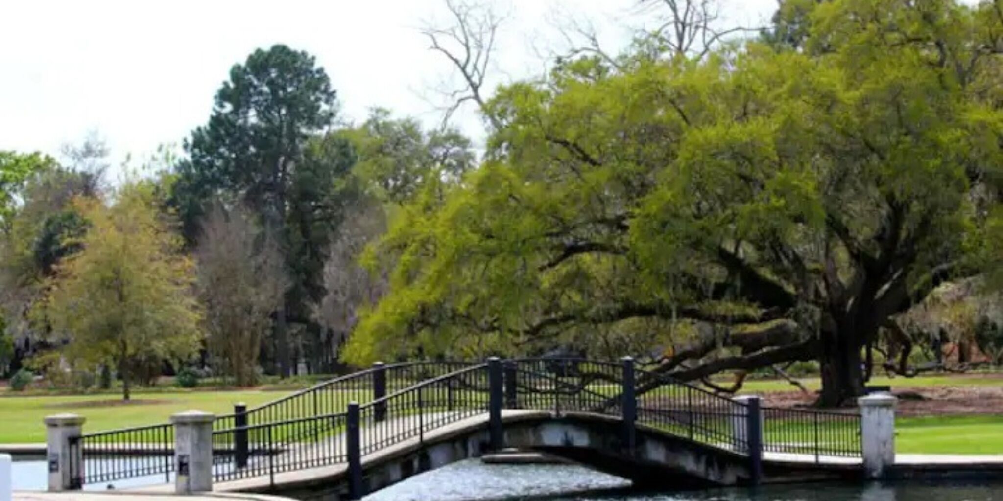 Un pont en pierre avec une rambarde en métal, enjambant une étendue d’eau, et entouré d’arbres et de verdure.