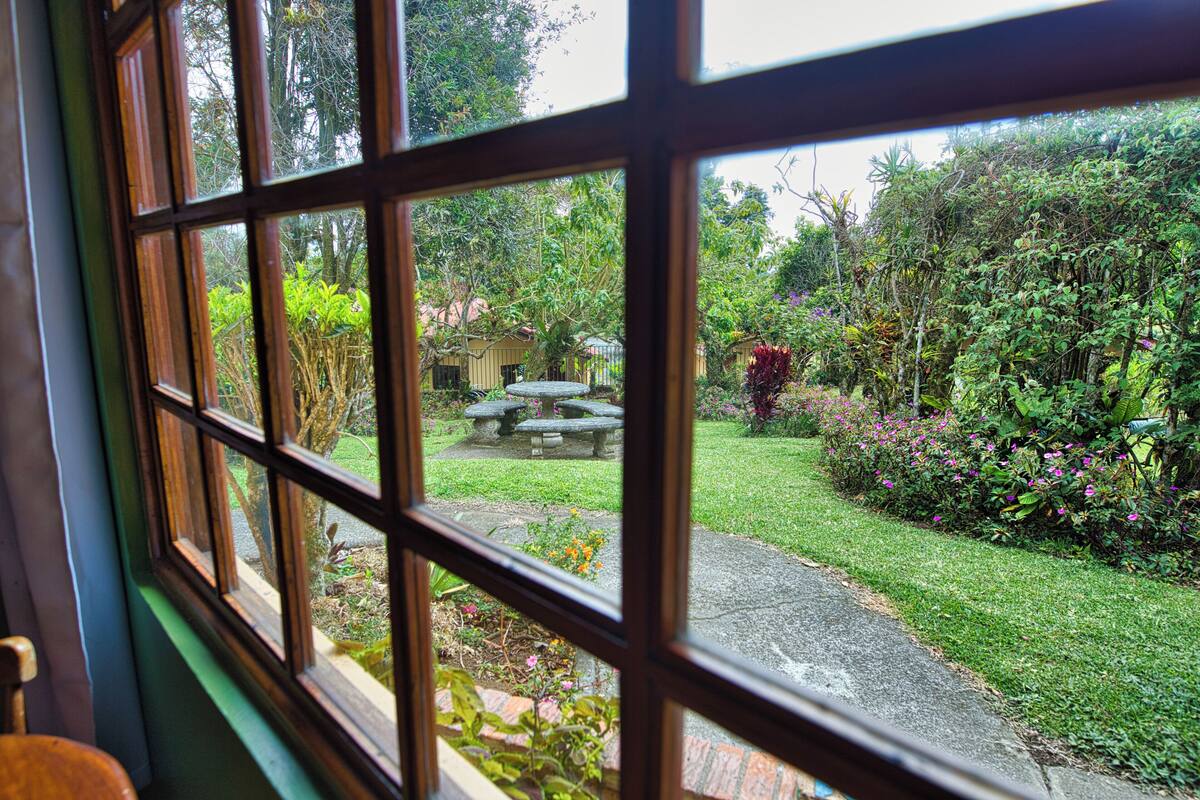 Vista a través de una ventana que muestra un sendero de piedra que conduce a un jardín con un banco de piedra y diversas plantas.