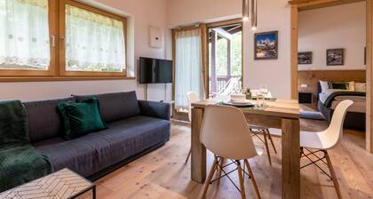 Alpine View App. - 300 meters from Plan de Corones