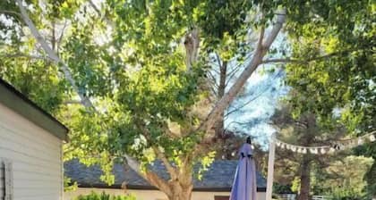 DE-stress in this quiet, serene cottage. Mountains, Horses, Verde River, Peace.