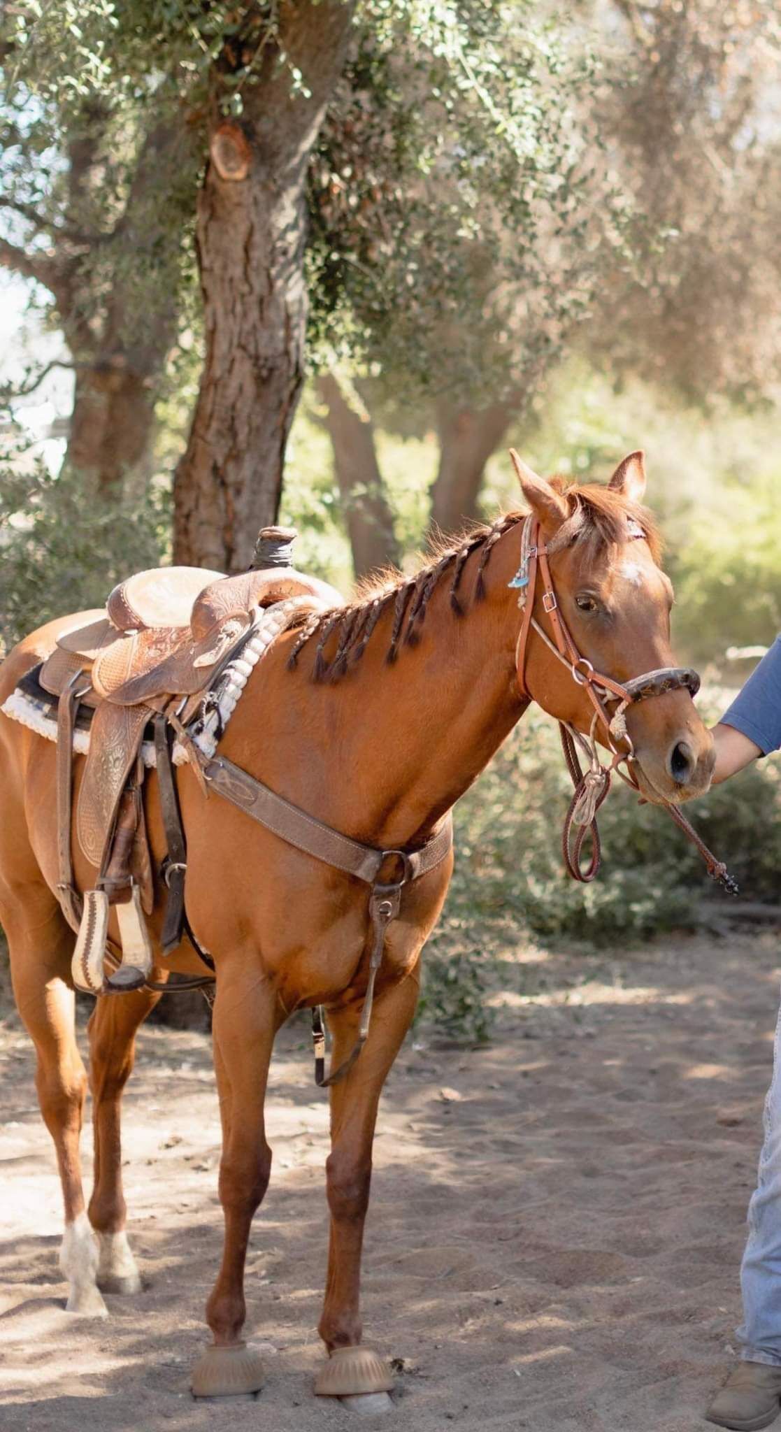 Farm stay in the hills. 15 miles from casino