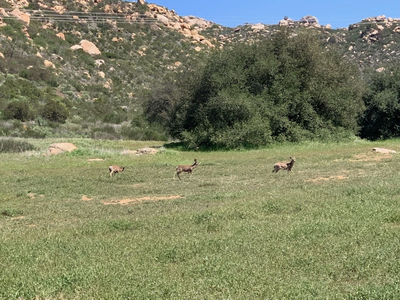 Farm stay in the hills. 15 miles from casino