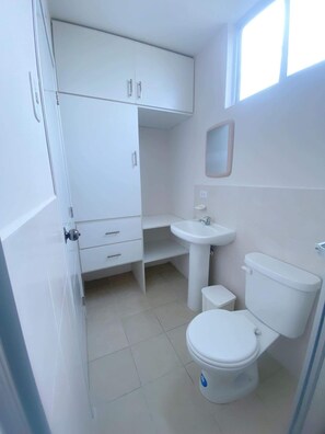 Combined shower/bathtub