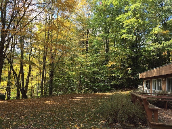 Property grounds - Cozy two-bedroom ranch 15 minutes from Butternut Ski Resort - 90-day minimum (Monterey)