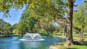 Un parque tranquilo con un estanque, un columpio y una banca.
