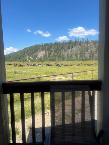 Cozy home on working cattle ranch, close drive to Crater Lake, peaceful, quiet