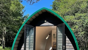 Property grounds - Nuthatch Cabin at Cloudshill Glade (Wareham)