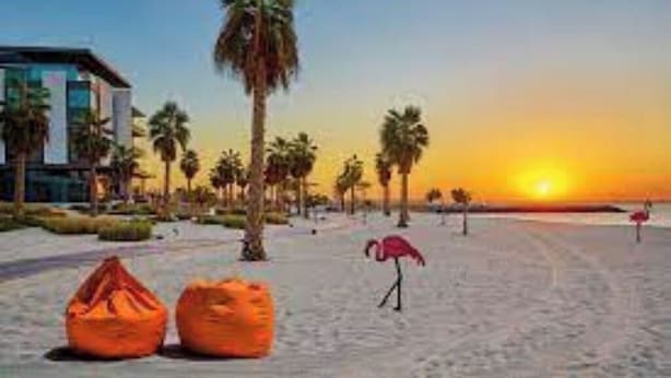 Escena de platja amb un ponent, palmeres i un flamenc.