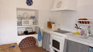 Frigorífico, microondas, horno y placa de cocina