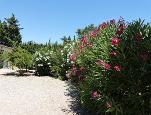 Boendeområde