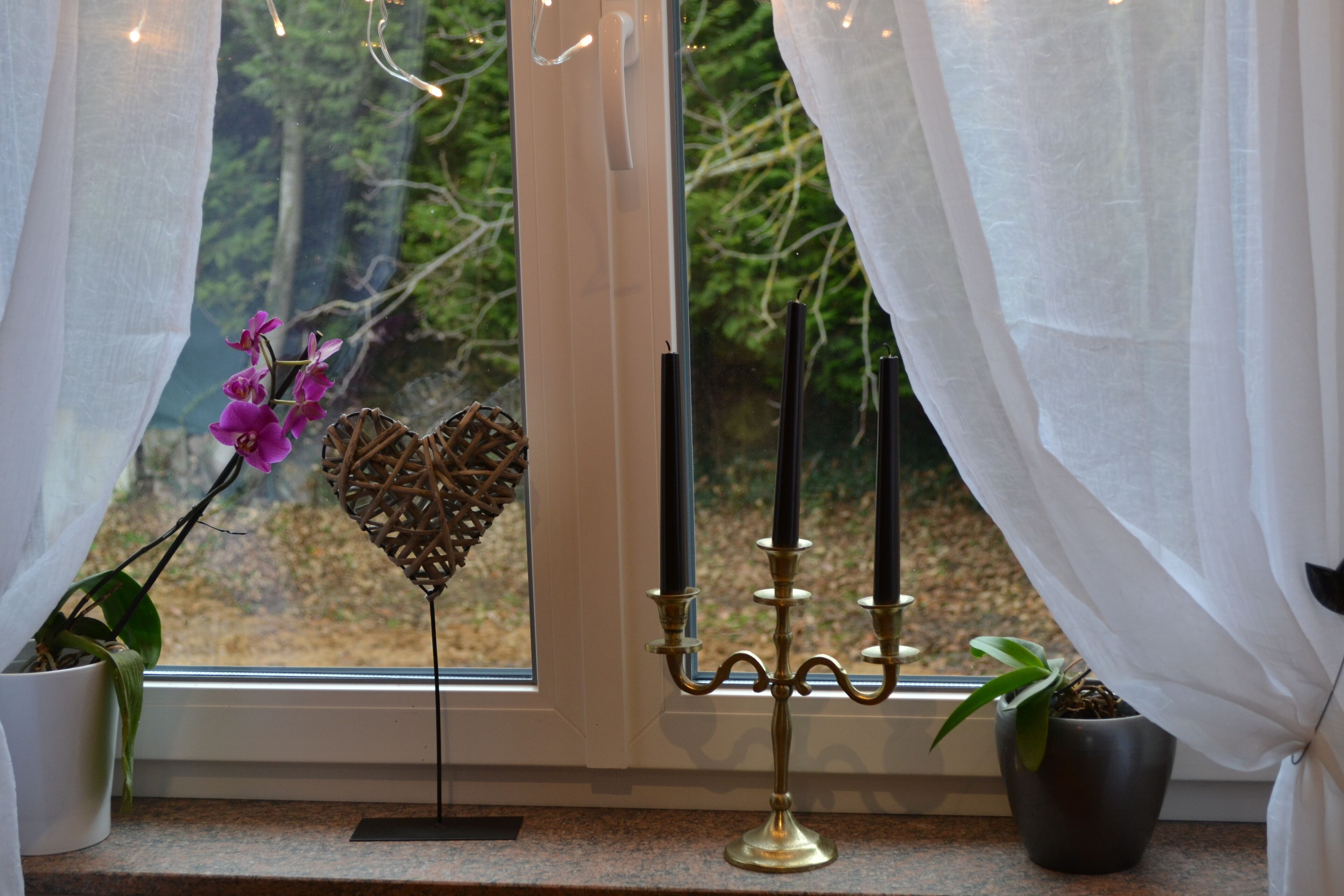 A window with a view of greenery, a potted plant, a heart-shaped glass, and a candelabra.