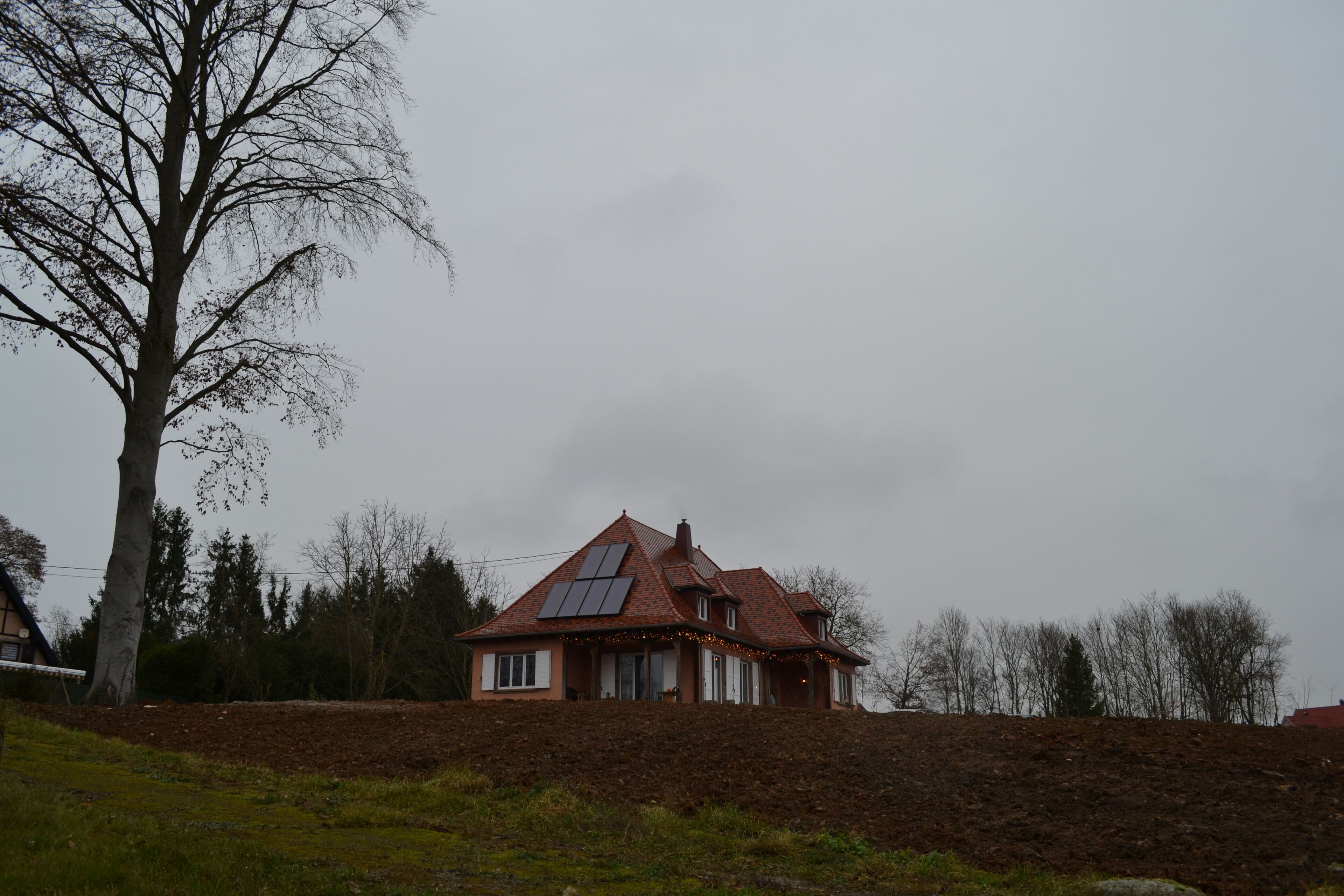 A single-story house with a sloped roof, solar panels, and a large tree in the foreground.
