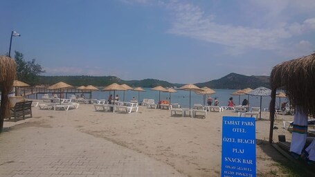 Playa