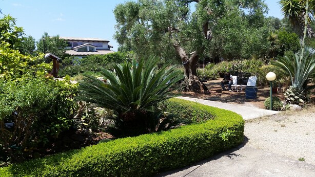 Un jardin bien entretenu, avec une variété de plantes, un sentier et un bâtiment en arrière-plan.