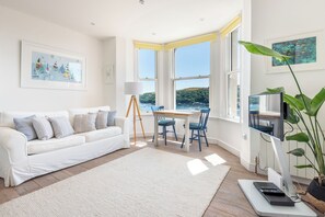 Smart TV, DVD player, books