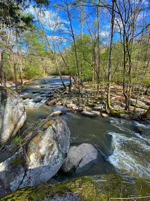 Property grounds - Big Haynes Creek Tiny Home (Conyers)