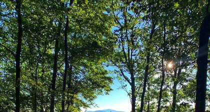 Big Haynes Creek Tiny Home