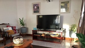Smart-TV, videospill, bøker og musikkbibliotek