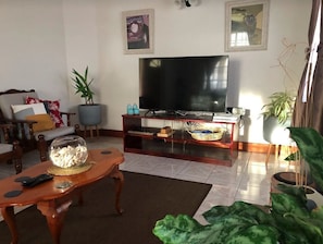 Smart TV, video games, books, music library