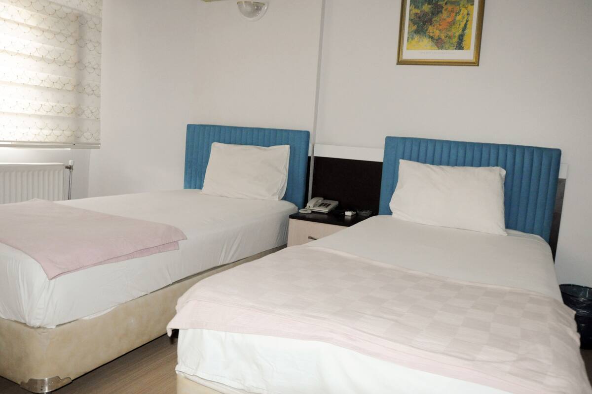 Habitación con 2 camas individuales | Wifi gratis 