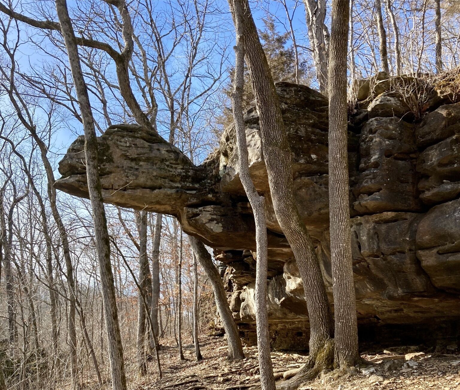 A natural rock formation with trees around it.