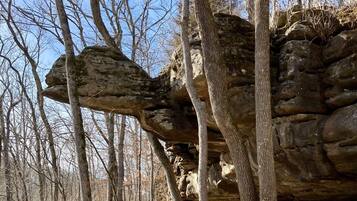 A natural rock formation with trees around it.