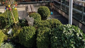 A rooftop garden with a view of the city and the sea. - Ostseeperle Modernly furnished with swimming pool  (Dahme)