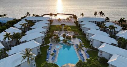 Sunset Cove 2BR/2BA • Ocean Views • Pool/ Swim-Up Bar • Hot Tub • Walk to Beach!