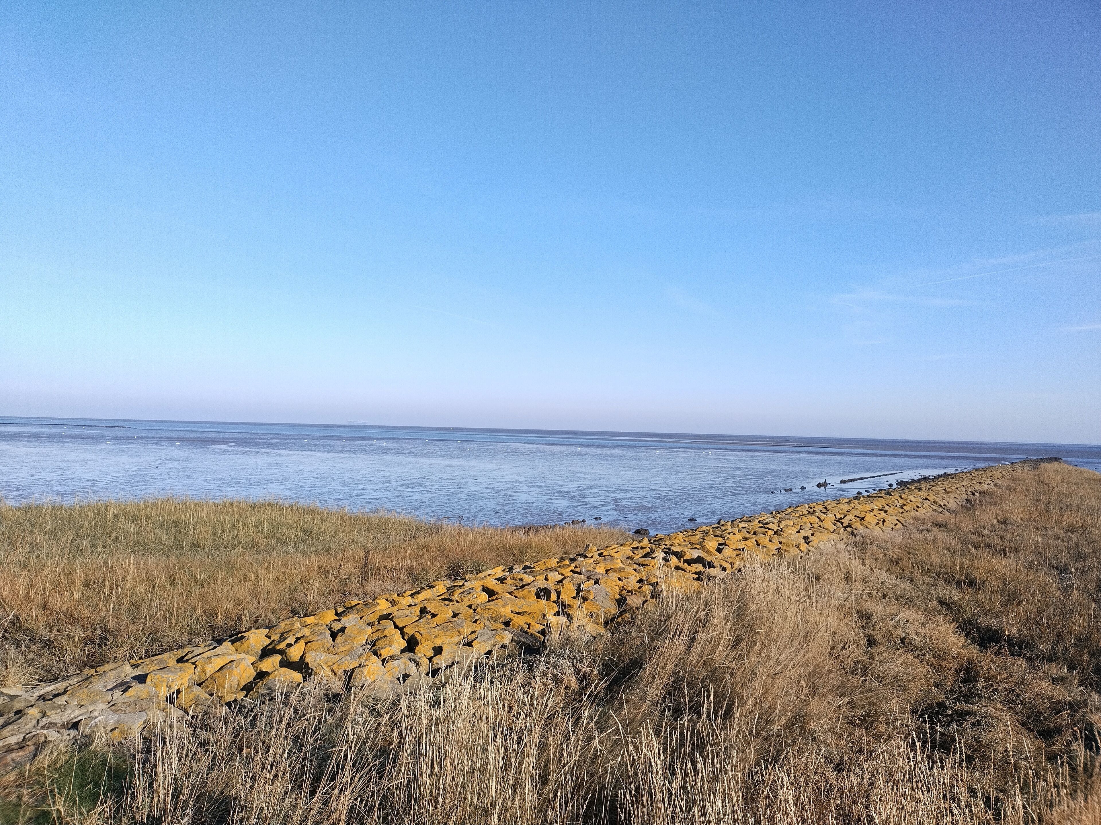Een kustlandschap met een rotsbarrière en droog gras.