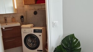 A laundry area with a washing machine, a sink, and a mirror. There is a potted plant and a basket on a shelf. - Paris - Porte D'auteuil : Grand Studio Avec Balcon (Paris)